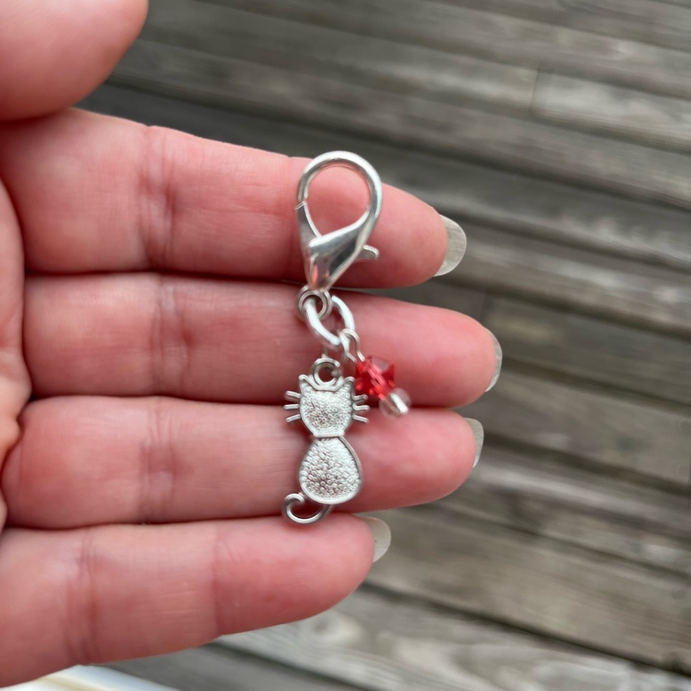 🐈 Silver cat pet charm